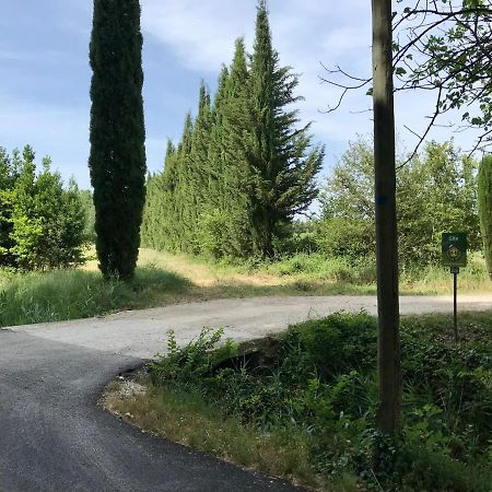 Le Jardin D'Erables St Remy 7 Ha Piscine/Clim Villa Paluds de Noves Buitenkant foto