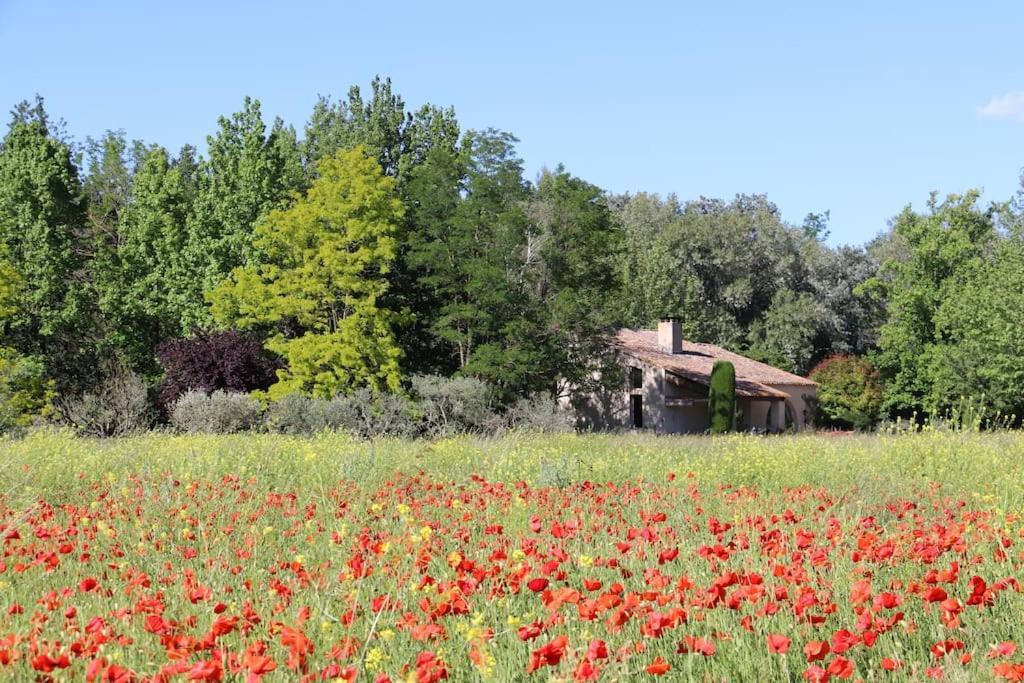 Le Jardin D'Erables St Remy 7 Ha Piscine/Clim Villa Paluds de Noves Buitenkant foto