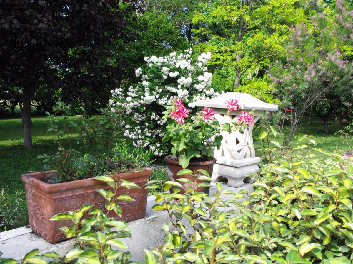 Le Jardin D'Erables St Remy 7 Ha Piscine/Clim Villa Paluds de Noves Buitenkant foto